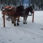 Lowman ID sleigh rides