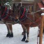 Lowman ID sleigh rides