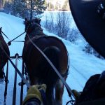 Lowman Idaho Sleigh Rides